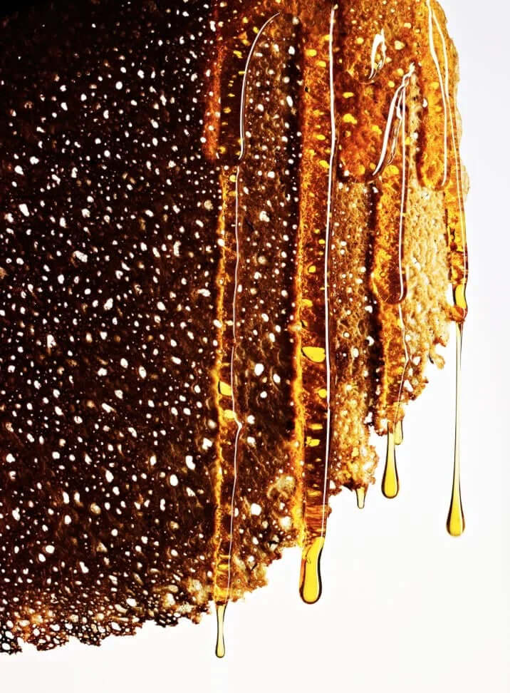 Golden honey dripping off a porous brown honeycomb close-up on white background