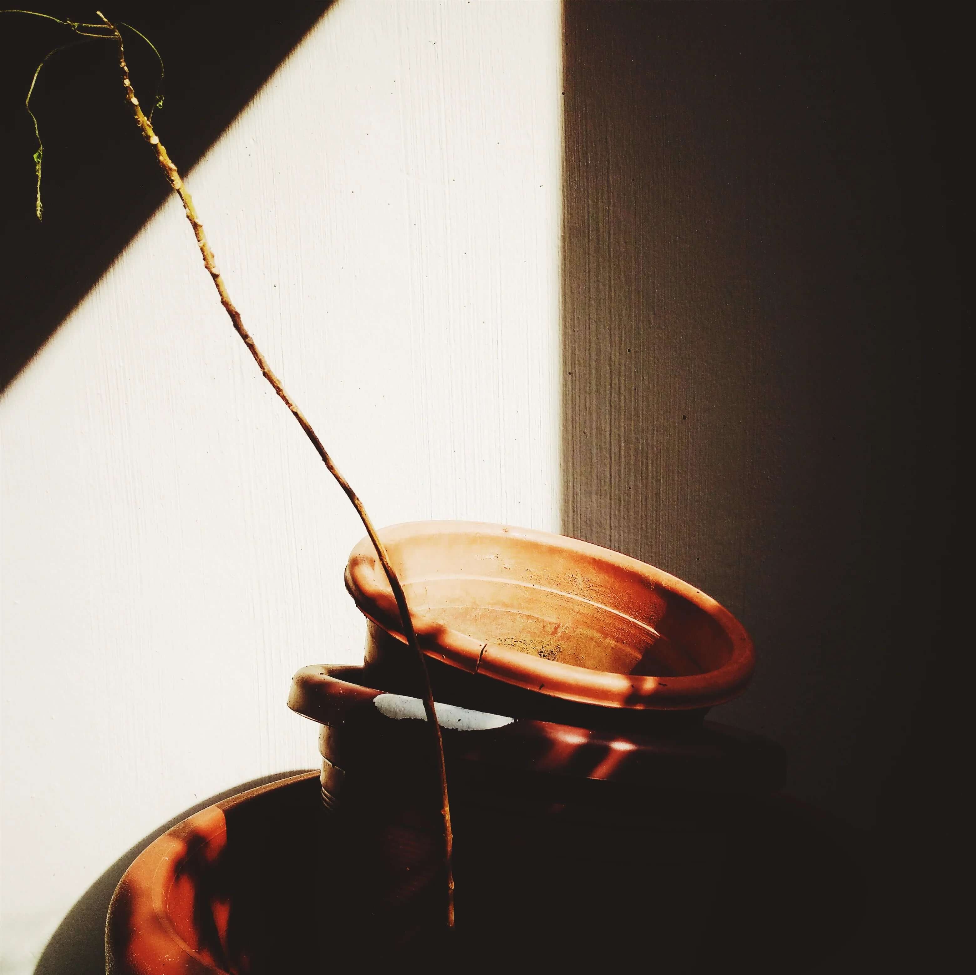 Stacked terracotta plant pots and a thin branch in warm sunlight, minimalist decor